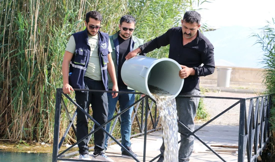 Erzincan’da bulunan baraj ve