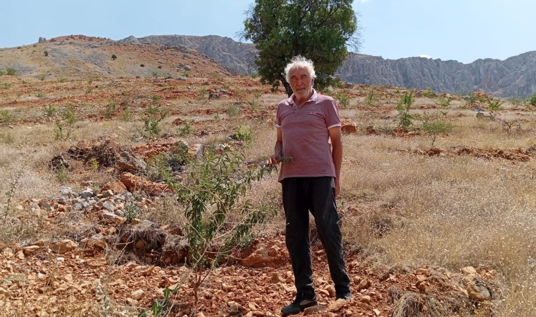 Erzincan’ın Kemaliye ilçesinde yaşayan