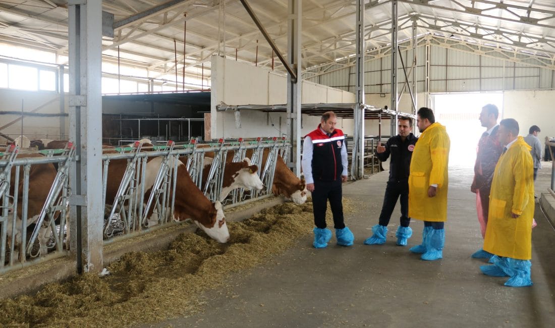 Erzincan’da faaliyet gösteren büyükbaş hayvancılık işletmelerinde ari işletme sertifikası alma