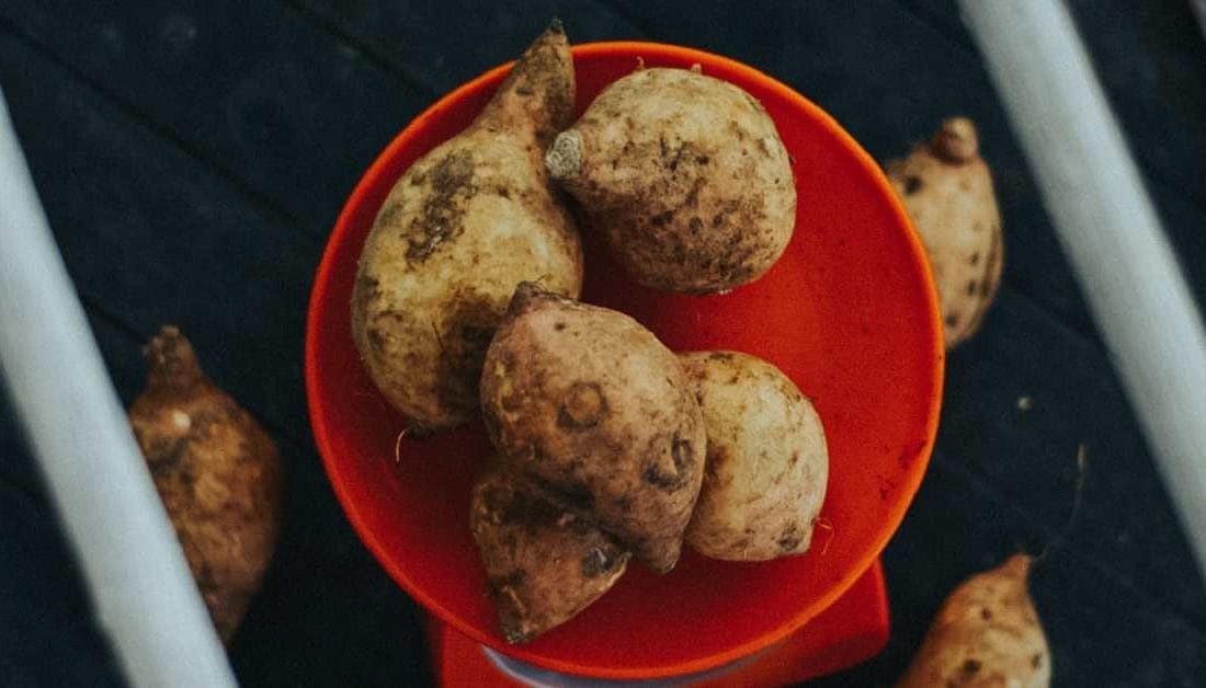 Erzincan’da yeni bir ürün için demonstrasyon alanı kuruldu.