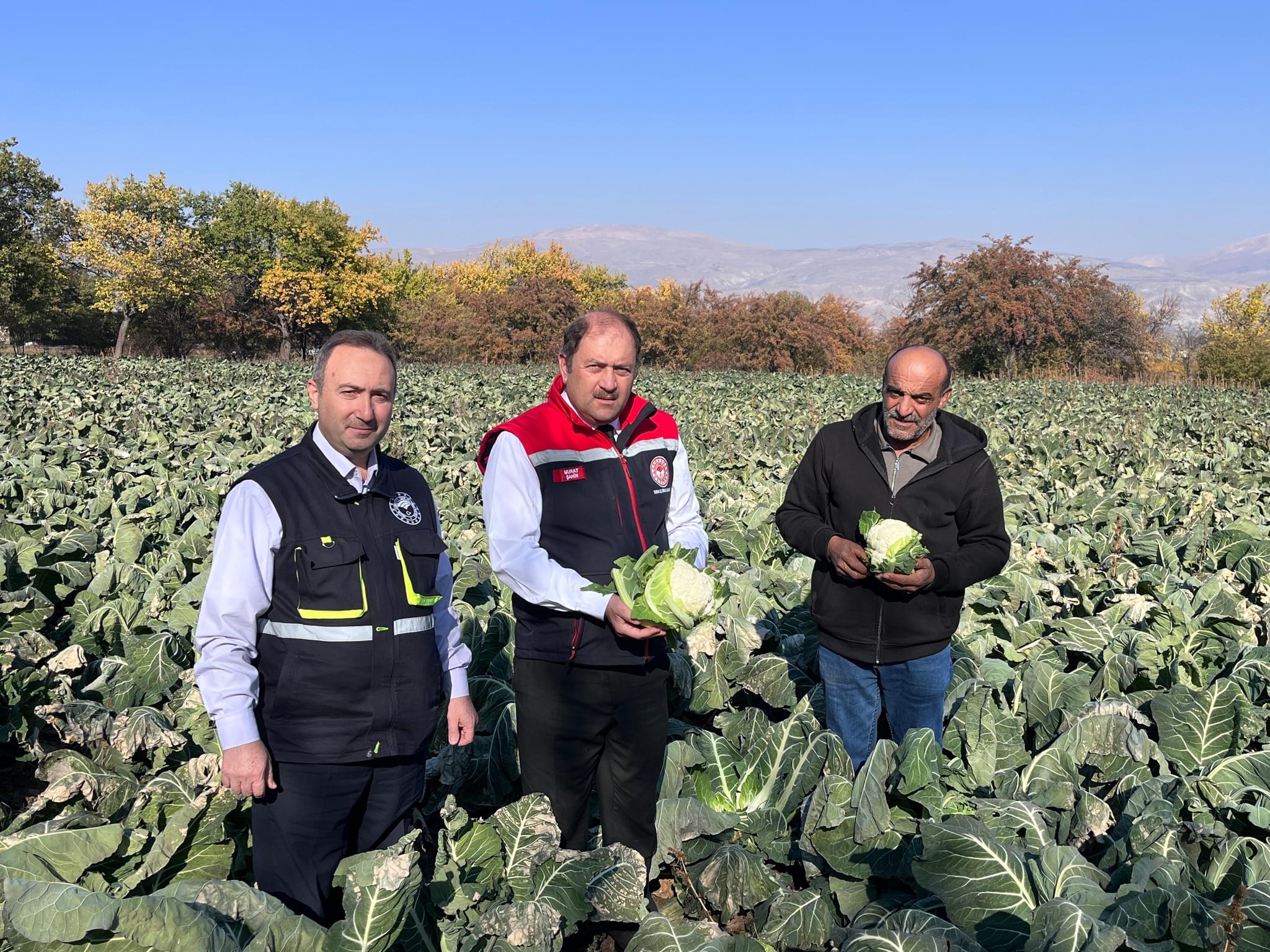 Yaz sezonunun sona ermesinin ardından kışlık sebzeler pazarlarda ve manavlarda