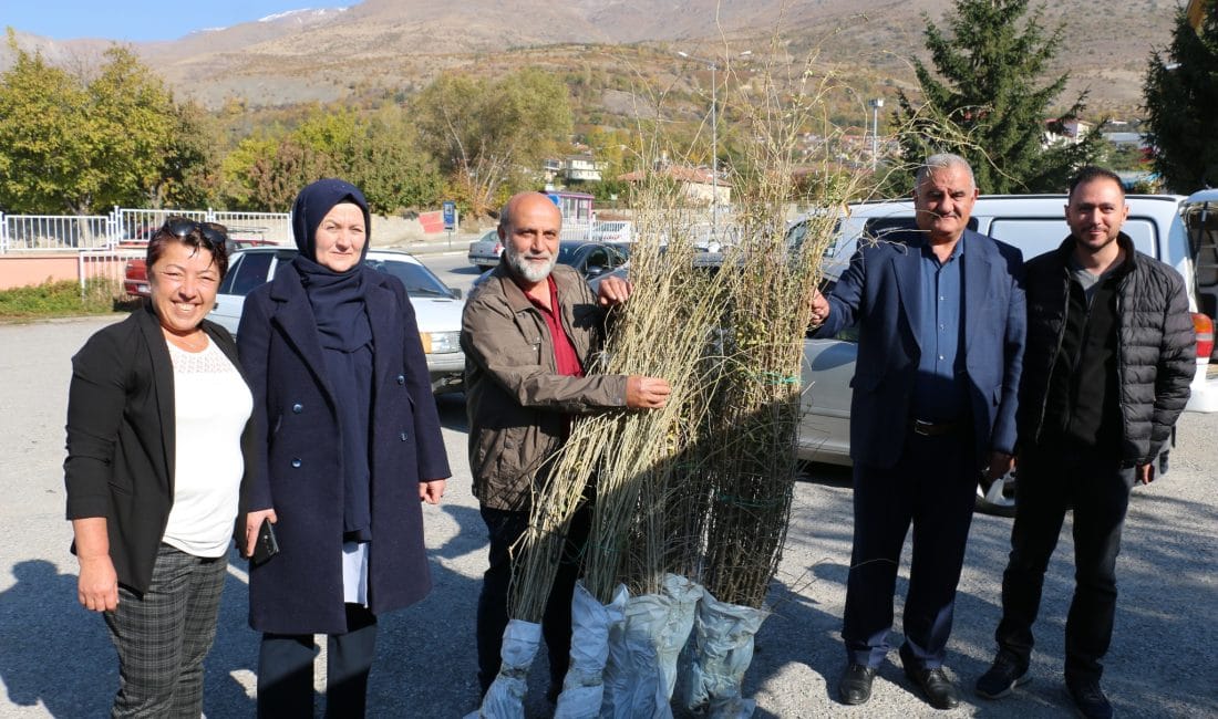 Erzincan Ovası, tarımsal ürün