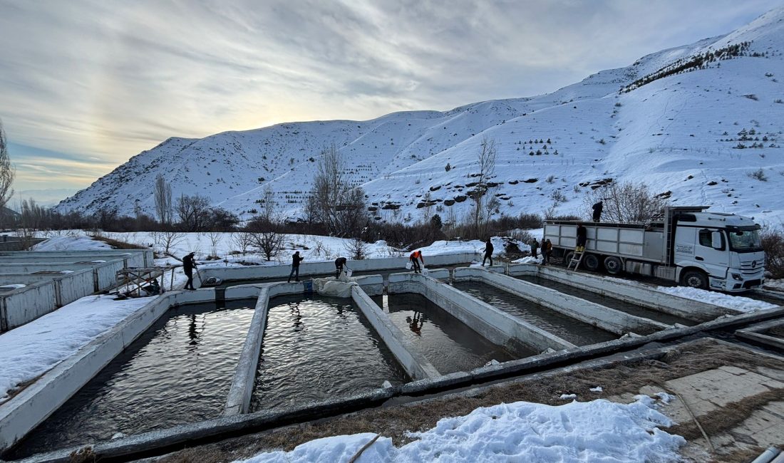 Erzincan’da su ürünleri yetiştiriciliği yapan 21 adet tesis bulunuyor