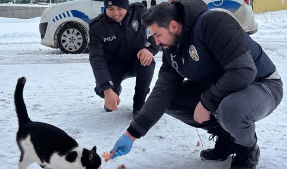 Erzincan'da polis ekipleri, olumsuz hava koşullarında sahipsiz hayvanların aç kalmaması