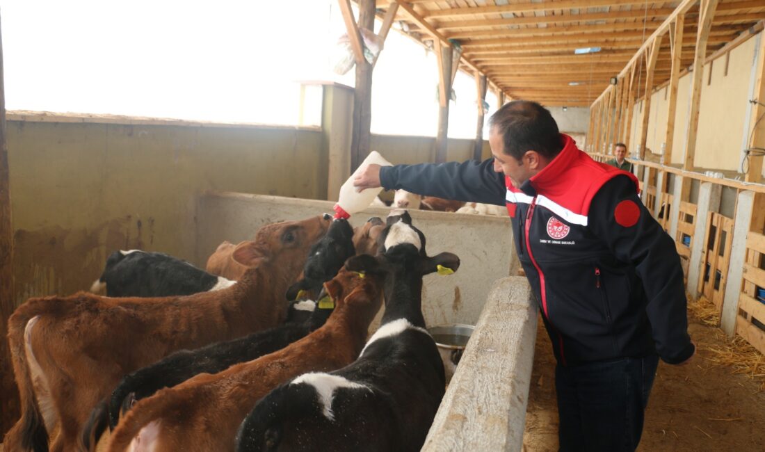 Erzincan Tarım ve Orman İl Müdürlüğü teknik ekipleri işletmelerdeki incelemelerini