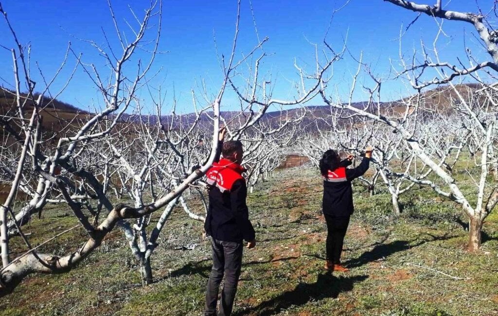 Erzincan’da bulunan meyve bahçelerinde bahar hazırlıkları da başladı.