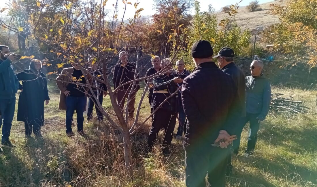 Erzincan’da havaların ısınması ve baharın yavaş yavaş kendini göstermesi ile